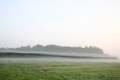 Nebel151006_011.jpg