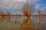 Hochwasser_Grind